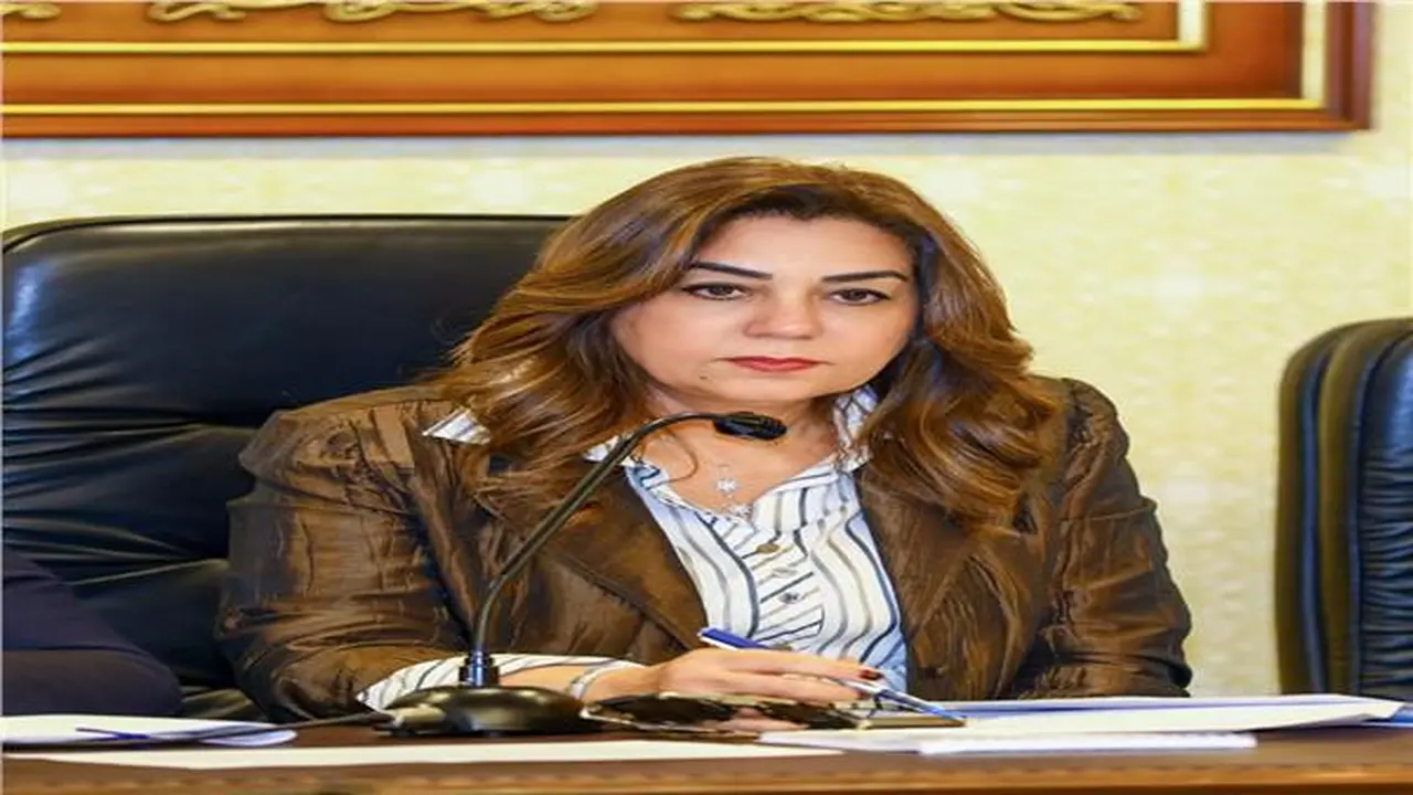 التنمية المحلية والبيئة تعتمدان المخططات التفصيلية لمدينتي رأس البر وباريس بالمنيا